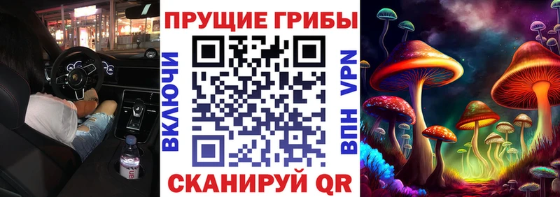 сайты даркнета телеграм  Новодвинск  Галлюциногенные грибы прущие грибы  что такое  